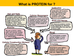protein