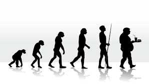 evolution of man