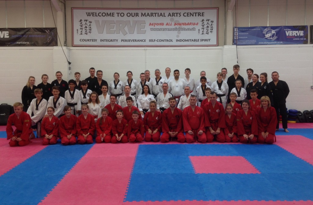 2015 Taekwondo Technical Seminar