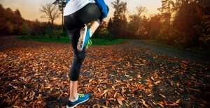 autumn_workout